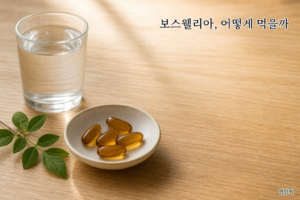 보스웰리아 먹는법·복용법 가이드 — 함량과 복용 시간까지