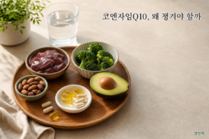 코엔자임Q10 효능 8가지 2026 (식약처 인정 기능성)