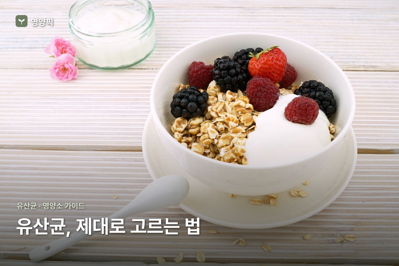 유산균 완전 정복 2026