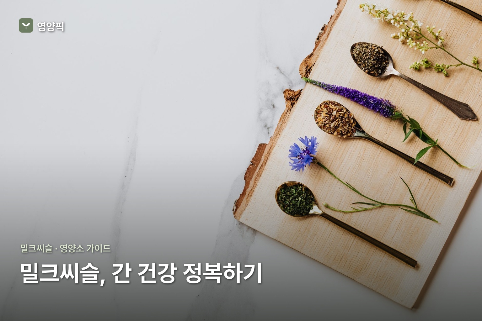 밀크씨슬 완전 정복 2026