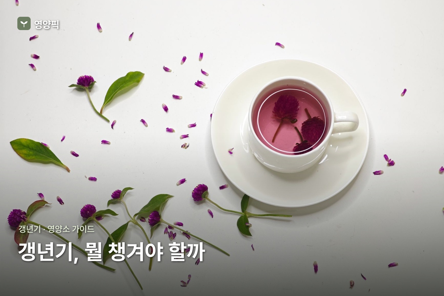 갱년기 영양제 여성·남성·성분까지 한눈에 정리 2026